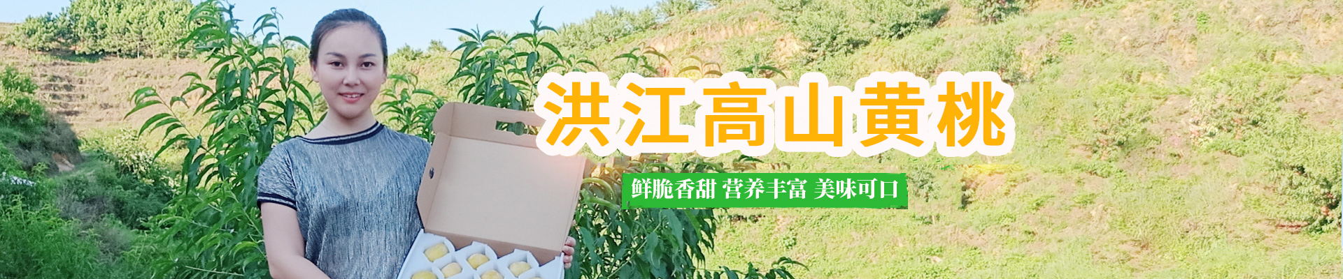 洪江市禹甜科技有限公司_黔陽瞐_農(nóng)產(chǎn)品的批發(fā)零售